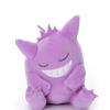 Sleeping Charizard Plush Pikachu Peluche Sprigatito Stuffed Doll Pachirisu Rockruff Gengar Anime Toys Hobbies Xmas Gifts