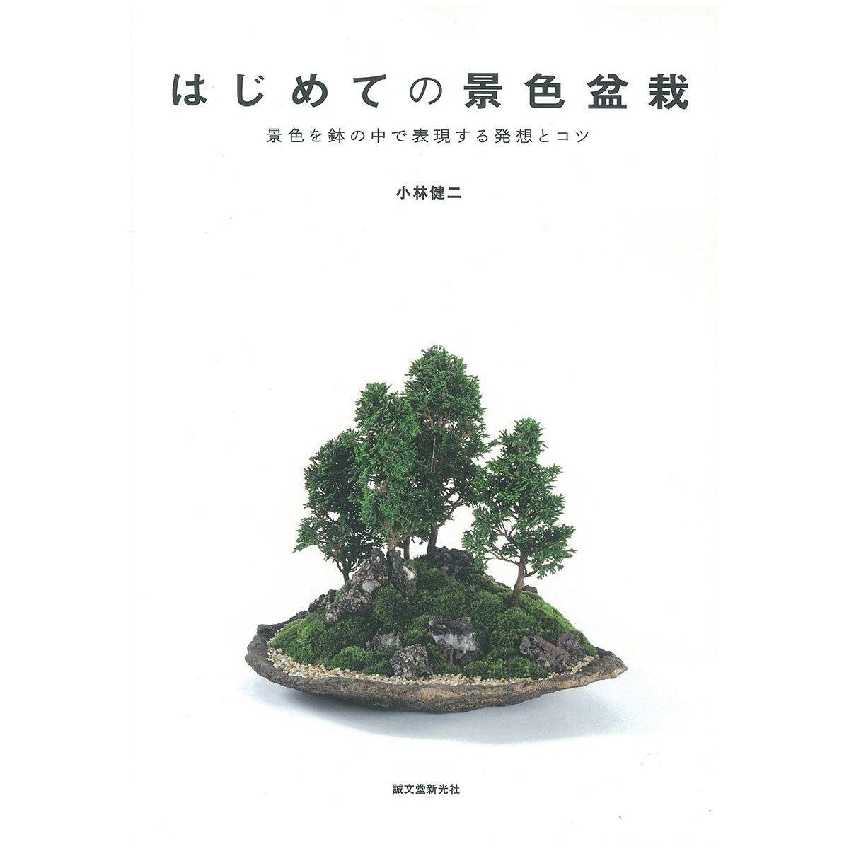 First Landscape Bonsai Ideas Tips Expressing Landscapes Pot