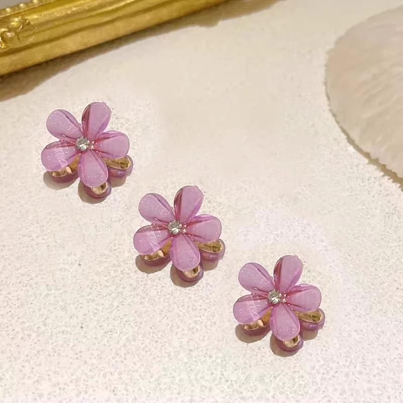 Princess Mini Claw Hair Clips for Women - Summer Side Bang Accessory