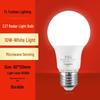 LED-lampen – LED-lampen en -strips
