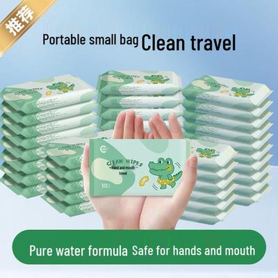 Disposable Dehumidifying Wet Wipes - Portable 10-Pack