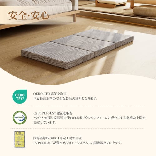 Wellflex Single Tri-Fold Mattress, Double-Sided, 5-Year Warranty, Dual-Layer Design, 190N High Resilience + 90N Low Resilience, Extra Thick 10cm, Fold
