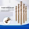 Hangshi Straight Shank Twist Drill Bit Set