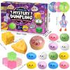 New Mystery Box Advent Calendar, 24pcs Soft Surprise Dumplings, Anxiety Relief Bao Bun for Adults, Stress Relief Sensory Gift