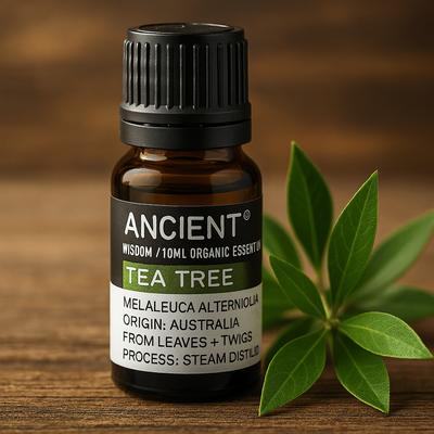 Huile Essentielle d'Arbre à Thé Bio 10ml