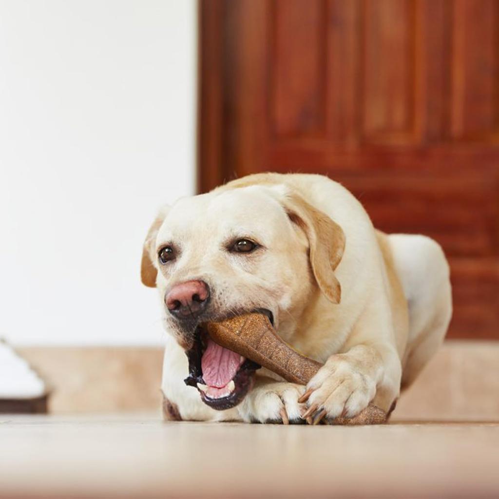 Dog Toy Bone Durable Bone Dog Toy Chew Toy Dog Teeth Brushing Medium Dog Toy Pet Toy Safe Sturdy Cone Shape Educational Durable Clean Stick Lack of