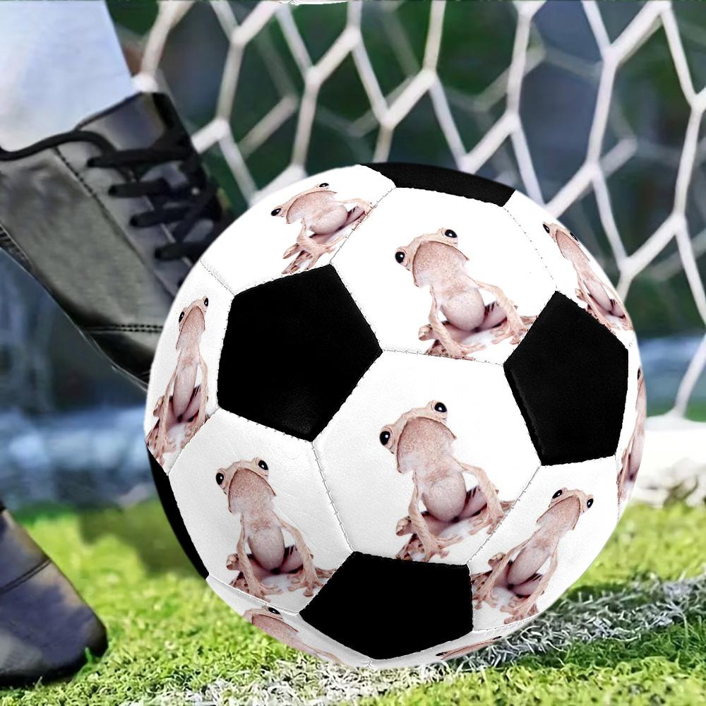 Customize Your picture Size 10 Soccer football Machine Sewn Indoor/Outdoor Training and Matches Personalized Soccer Ball
