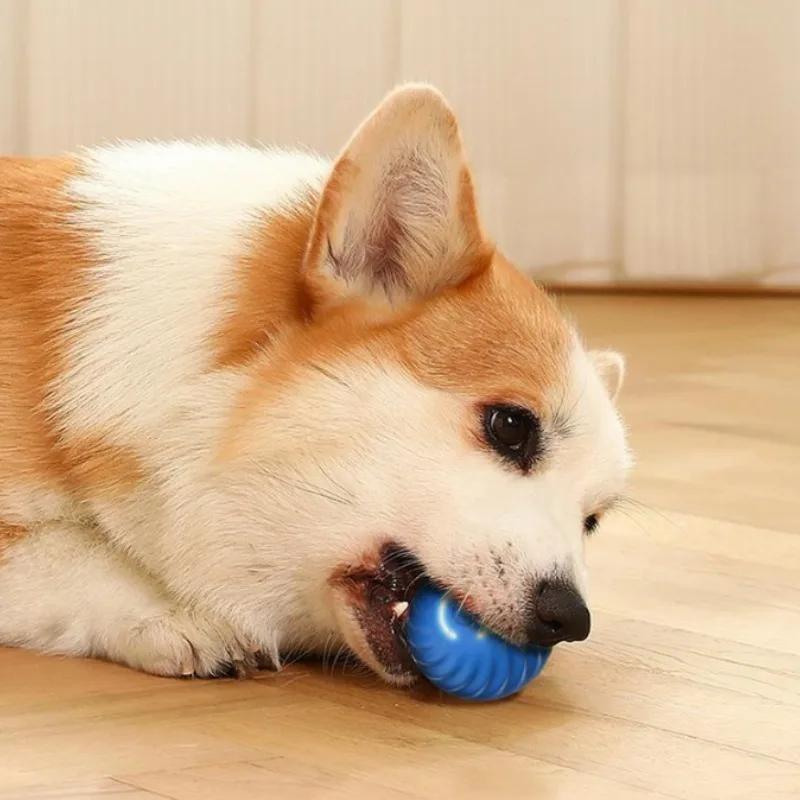 Pet Toy Ball Automatic Moving Dog  Smart USB Jumping Rotating Interactive Dog Chew  for Puppy Ball Toy