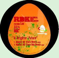 

10inch Record RADIKAL DUB KOLEKTIV LUA A Brighter Future EGGY23 Universal Egg 2006 UK Reggae Ska Dub Used