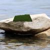 Artificial Moss Grass Realistic Decorative Panel Lightweight Flexible for Bonsai Micro Landscape Artificial Grass Wall Backdrop