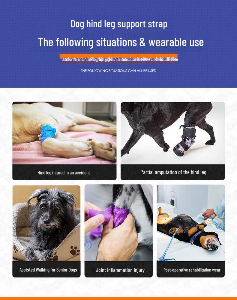Achterbeenondersteuningsharnas voor Honden met een Handicap en Oudere Honden - Revalidatie & Reis Hulp