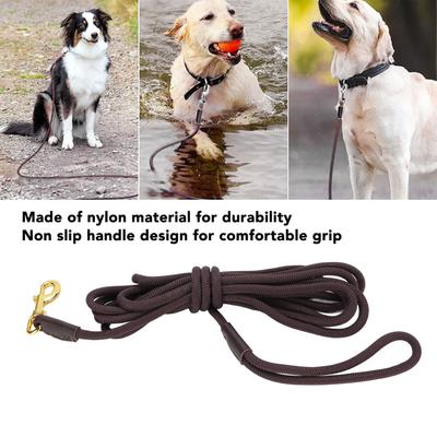 Köpek – Köpek Tasmaları ve Tasma Kayışları