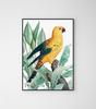 Poster Golden Parrot Exotic Plants