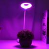 3W USB LED Pflanzenwachstumslampe Einstellbar Aquarium Wasserhosen Licht Weiß