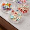 BEPAN 1PCS Summer Gradient Floral Nail Art Dried Flower Mixed Colors Natural Pressed Flowers Handmade DIY Boxed Wearable Nail Material