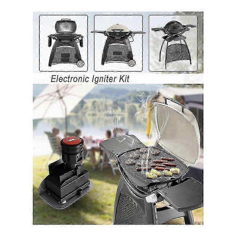 Weber Q320 Igniter Upgrade Kit