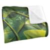 JQ Licensing Silky Bass Supersoft Blanket