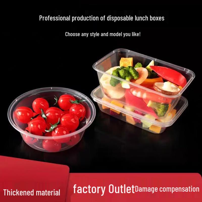 Disposable Transparent Plastic Takeout Food Containers