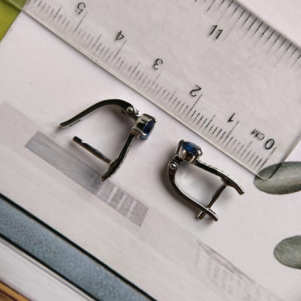 Silver Earrings with Nano Sapphire 2.917ct (2189060)