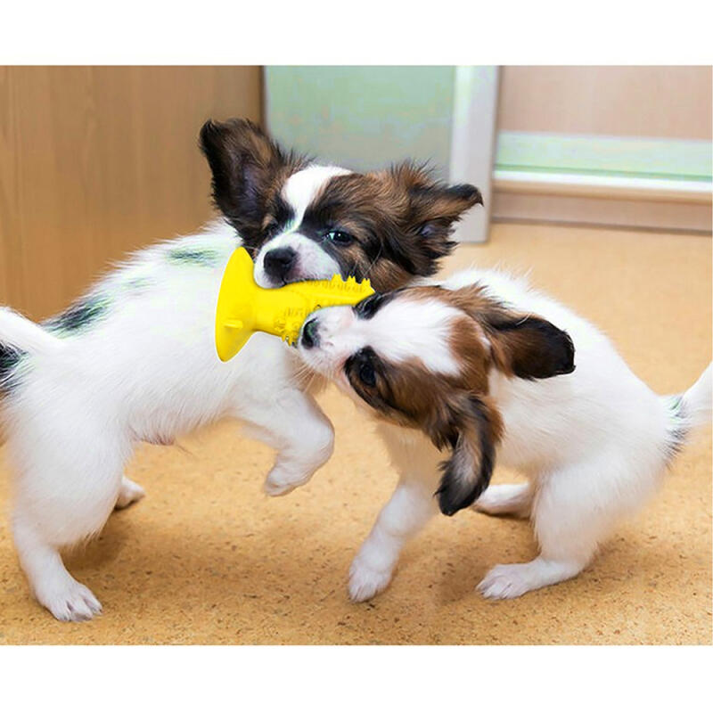 

Yellow Cactus Dog Tartar Remover Chikatoy