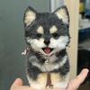 Uroczy Modny Twist Stick Piesek DIY Torba z Materiałami Ręcznie Robiona Pluszowa Lalka Dziewczynka Mały Prezent Shiba Inu Husky Ręcznie Robiona Torba z Materiałami