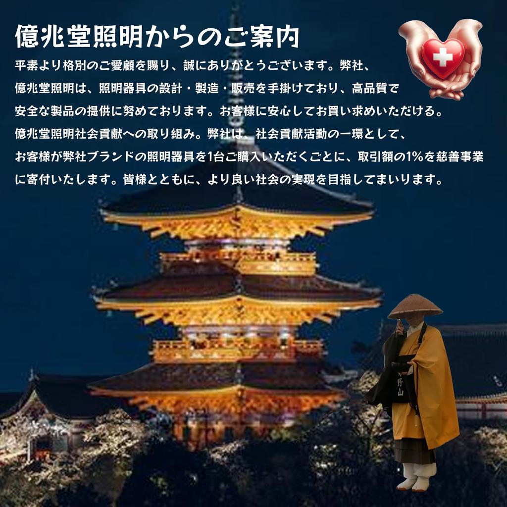 Okuchodo 5-Piece Lighting Rail Plug Set, Compatible with Duct Rails, Cord Pendants, and Pipe Hangers, Lamp Adapter for Ceiling Lights, Offices,