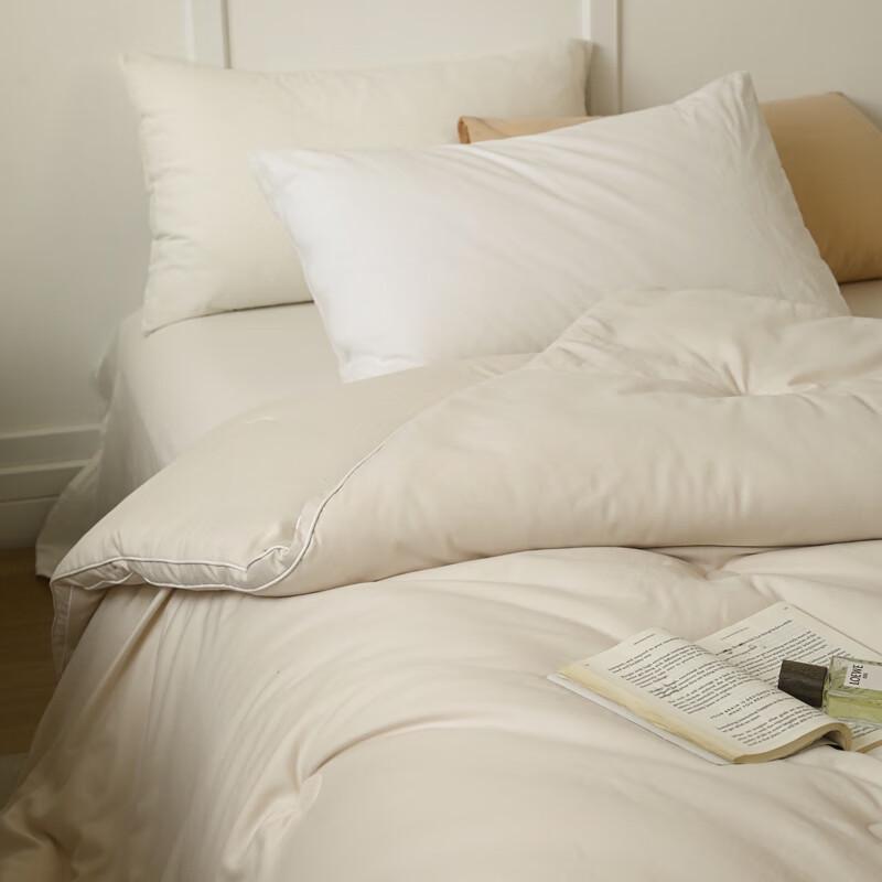 Southern Living 7A Antibacterial Skin-Friendly Winter Quilt