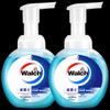 Walch Foaming Antibacterial Hand Wash (Twin Pack)