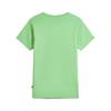 Puma Men's Short Sleeve Sport T-Shirt 692892