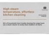 High-Pressure Steam Cleaner: Oil Fume Decontamination & High-Temp Disinfection