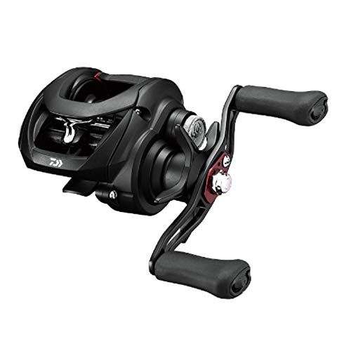 

DAIWA Bait Reel 19 Tattoora TW 100SHL (2019 Model)