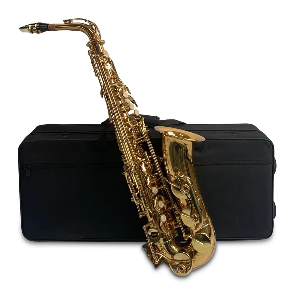 Golden Eb Alto Saxophone Sax Brass Body White Shell Keys Woodwind Instrument with Carry Case Gloves
