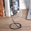 Hanging Glass Vase Large Terrarium with Frame for Air Plants Succulent Planters