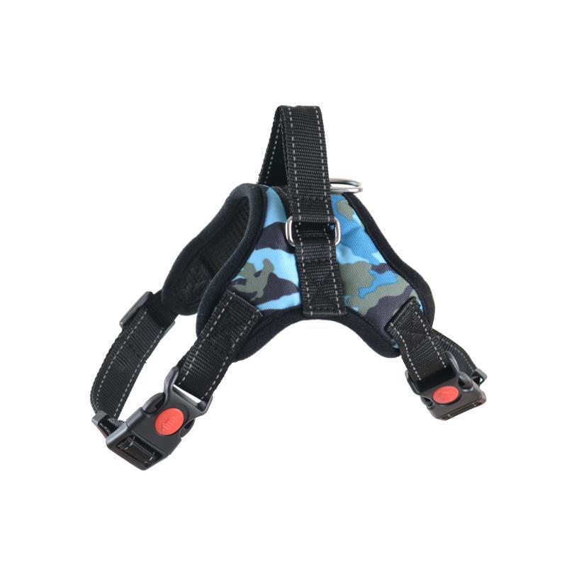 Verstellbare Hundeleine & Geschirr für mittelgroße bis große Hunde