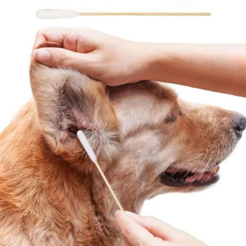 50pcs Single-head Pet Cotton Swabs Disposable Pet Ear Wash Cotton Ball Dog Wash Ear Stick  Grooming