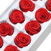 10Pcs Rose Flower Heads Eternal Dried Preserved for Girlfriend Her Wife