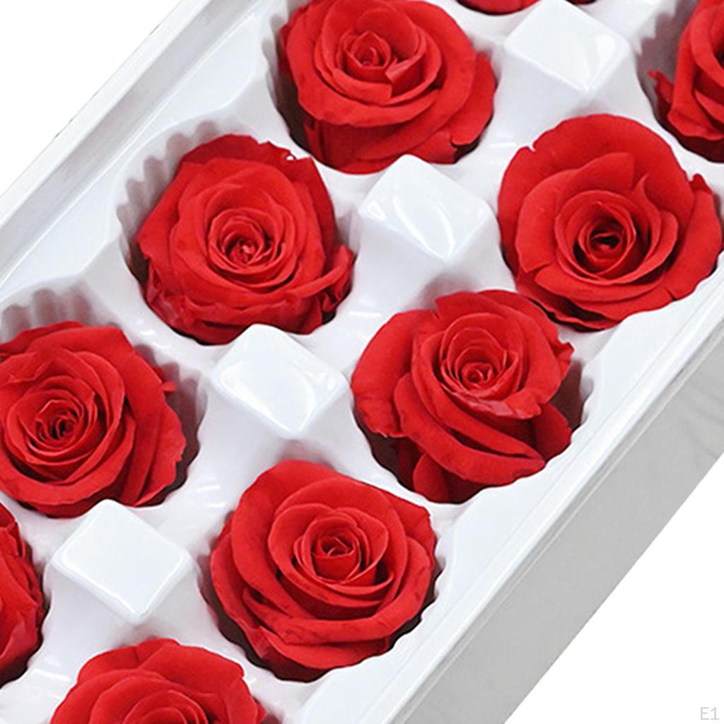 10Pcs Rose Flower Heads Eternal Dried Preserved for Girlfriend Her Wife