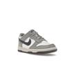 Nike Dunk Low GS Platinum Tint Light Carbon Kids Sneakers White Pure-Platinum FB9109-101