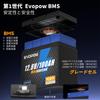 1280Wh Lithium Iron Phosphate 1280W Output 100Ah Long 100A BCI Group Size Compact and Ideal for Power Backup Portable Power Leki Air Includes Japanese