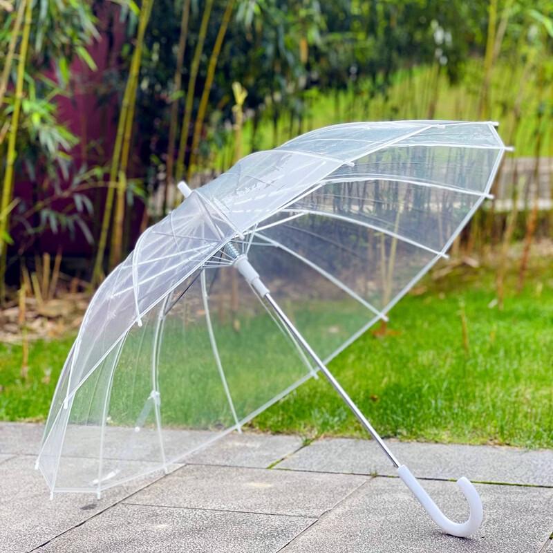 Automatic Transparent Long-Handle Windproof Umbrella