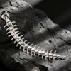 Punk Personality Sliver Centipede Adjustable Bracelets for Men Hip-hop Retro Insects Party Club Statement Jewelry Gifts