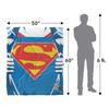SUPERMAN Silky Chest Logo Supersoft Blanket