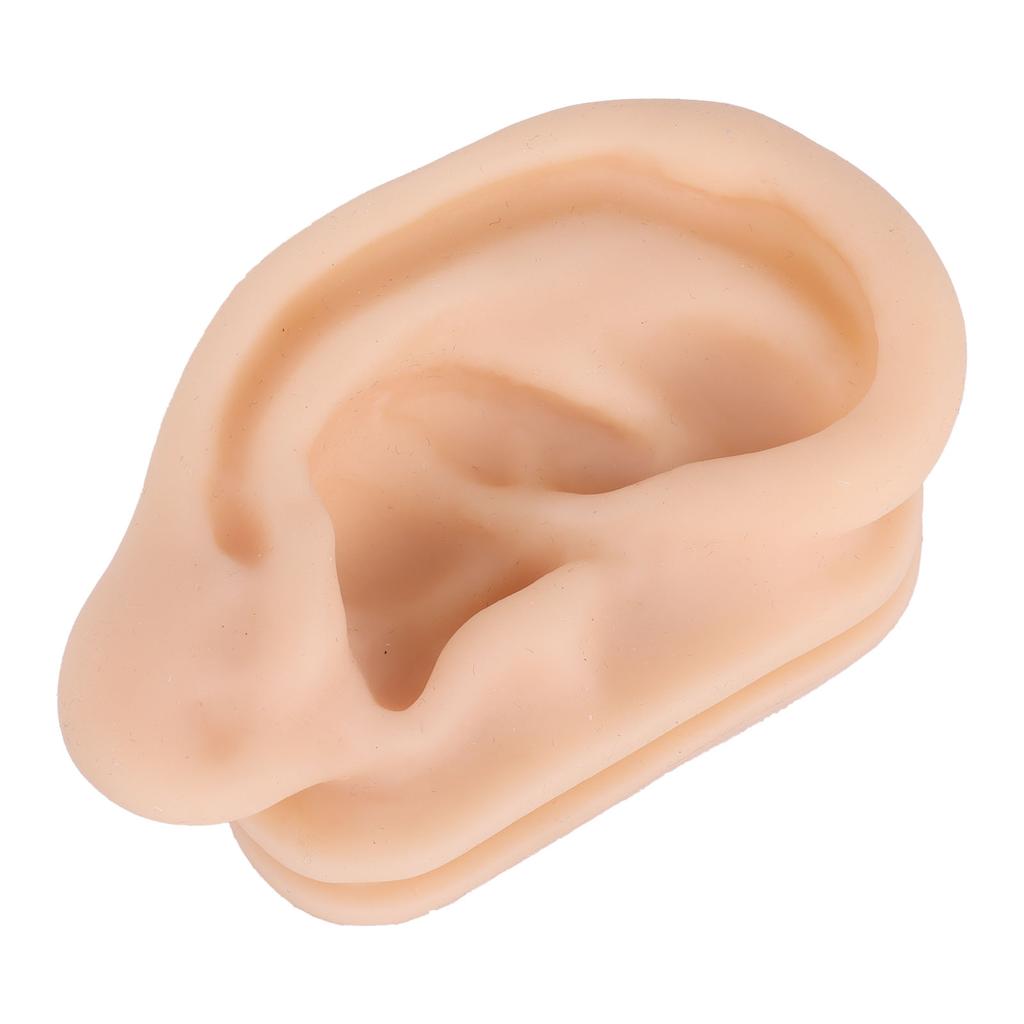Soft Silicone Ear Model Simulation Ear Acupuncture Practice Model for Hospital Display