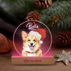 Individuelles Acryl-LED-Nachtlicht Personalisierte Haustierporträt-Design Mit Namensgravur Sentimentales Geschenk Für Tierliebhaber