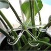4/8 stuks transparante plantenstelenrek – steun voor tuintakken, geen batterijen nodig, eenvoudig in gebruik, bloemenorganizer