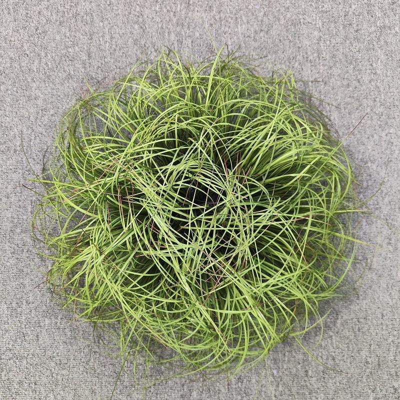 

Искусственный шар из лука-порея, материал ПВХ, соломенный лук-порей, бонсай, искусственное растение, украшение для двора в помещении и на открытом воздухе, травяной шар 50cmX25cm