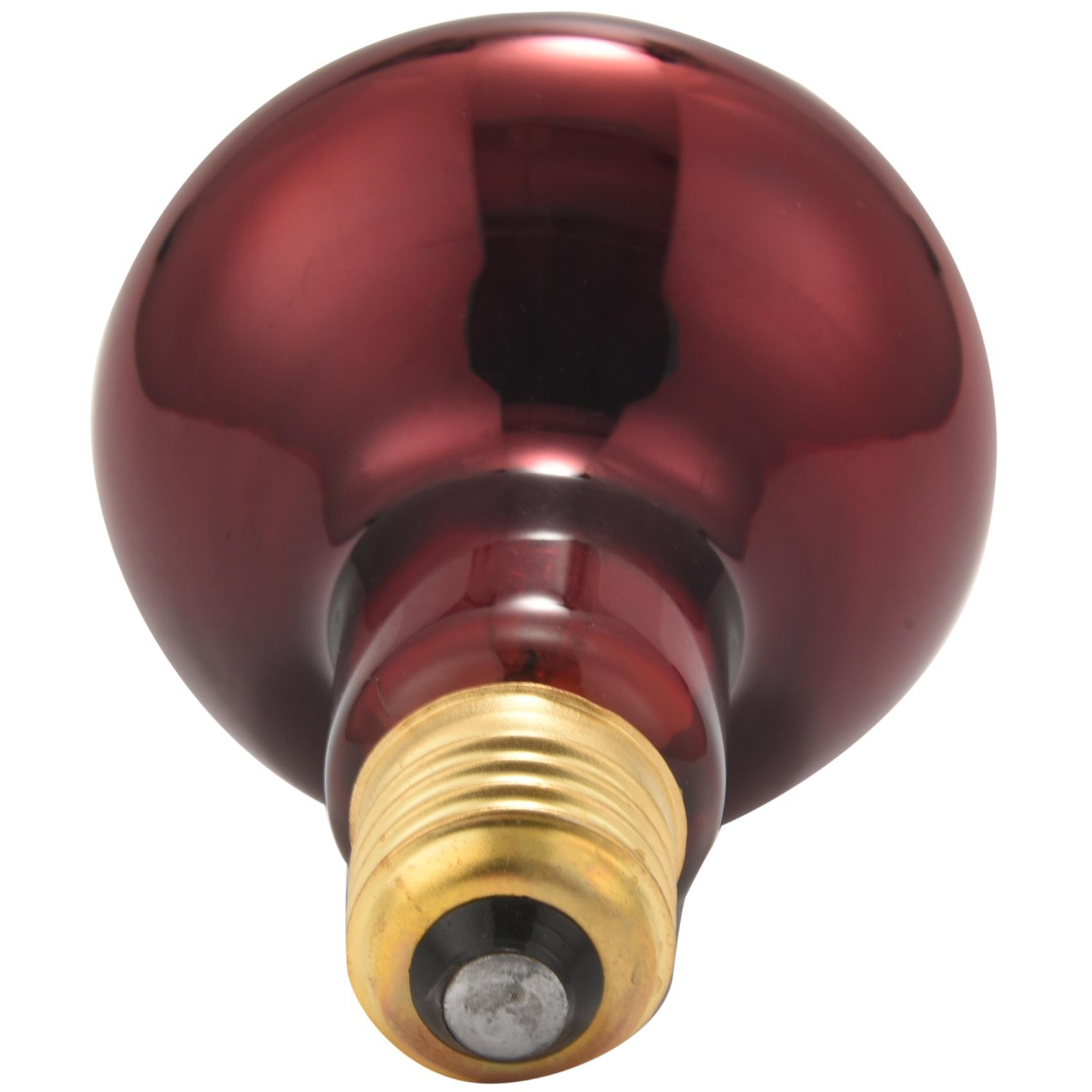M-Modern-100W 2 Pack Infrared Heat Lamp Bulb Red Light Heat Bulbs For Pet Lizards Bearded Dragons Chameleons Snakes Reptiles & A