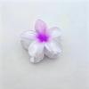 2 Pcs Flower Hair Clips Strong Claw Gradient Contrast Color Plumeria Anti-slip Hair Fixation Decoration Smooth Surface Women Hair Accessory