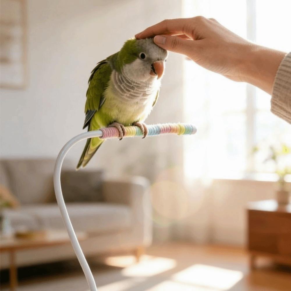 Wear Resistant Desktop Bird Perch Stand Bite Resistant Parrot Training Stand  Bird Training