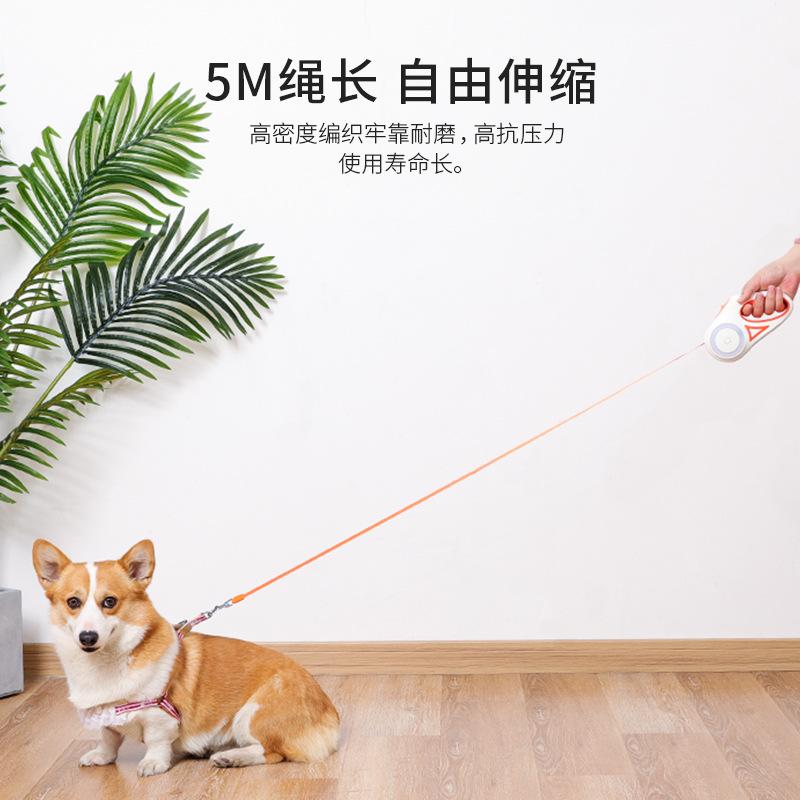 3M/5M Automatisch Intrekbaar Hondentuig met Zaklamp, LED Gloeiend Nachtelijk Wandelriem, Duurzaam Nylon Buitenriem voor Hond